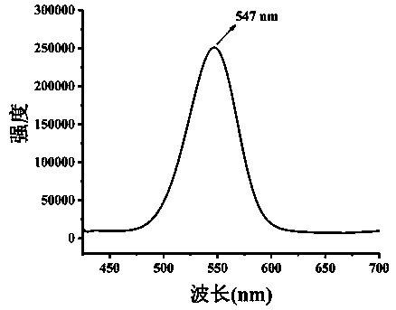 Preparation and application of silanized cadmium telluride quantum dot molecularly imprinted polymer