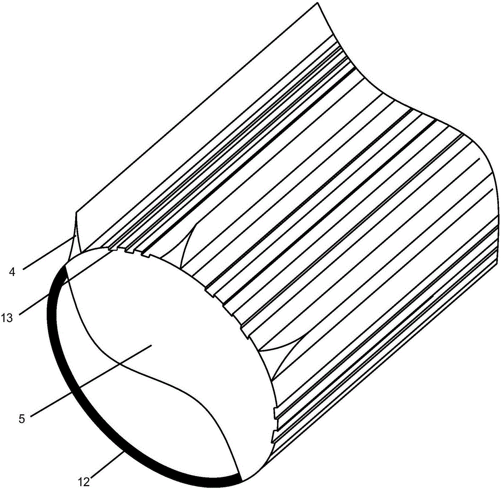 Liquid increasing granule and preparation method thereof