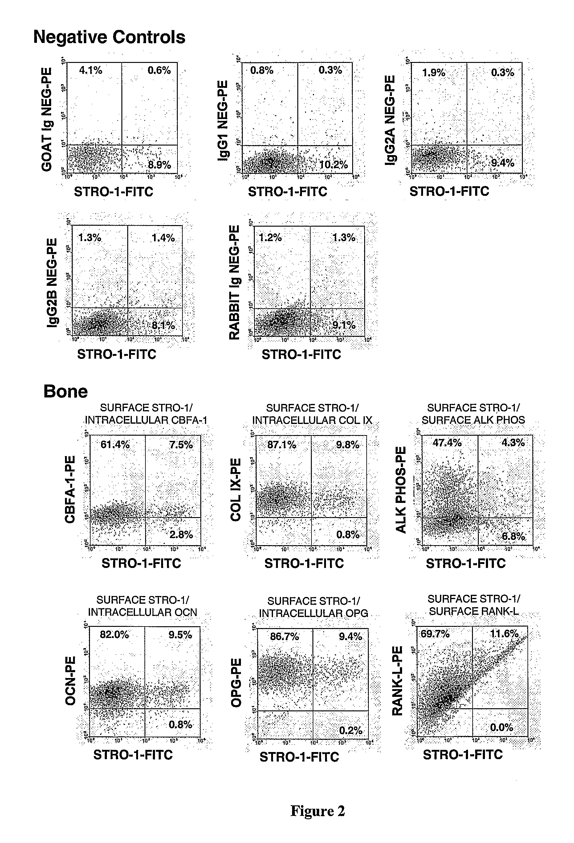 Multipotential Expanded Mesenchymal Precursor Cell Progeny (Memp) and Uses Thereof