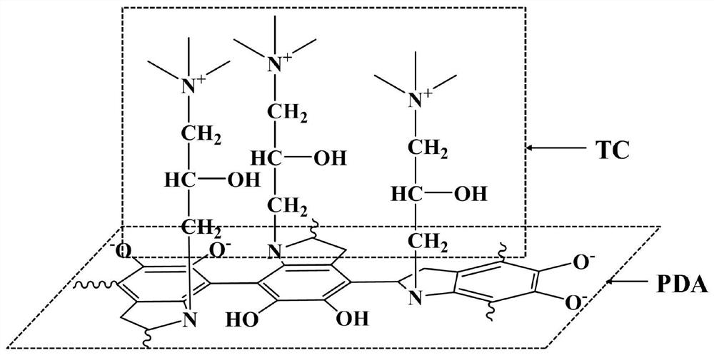 A kind of preparation method of modified cation exchange membrane