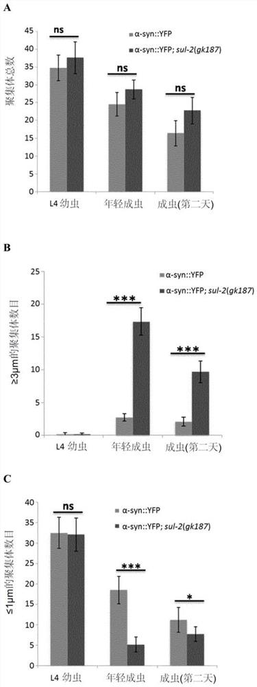 Compositions for treating and/or preventing protein-aggregation diseases