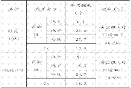 Method for urging peanut gynophores to fruit on ground