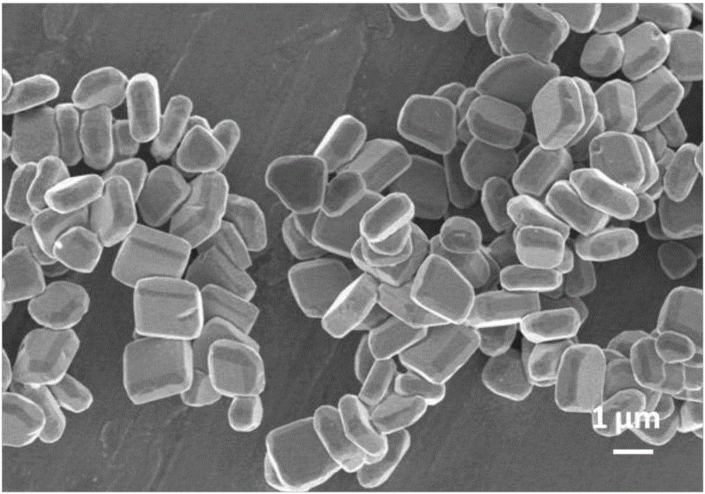 Three-dimensional flower-shaped bismuth ferrite powder and preparation method thereof