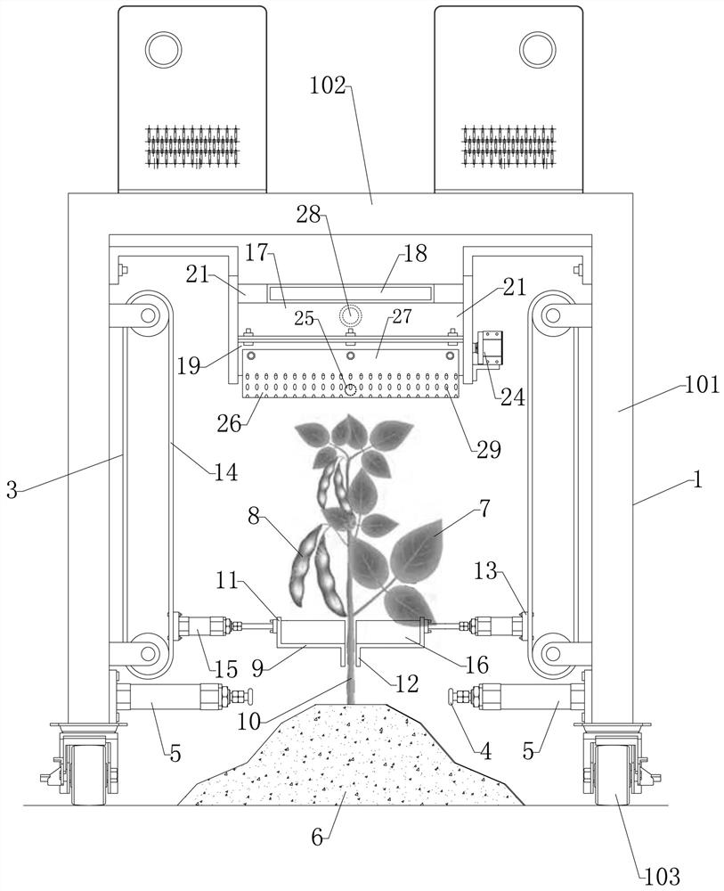 Soybean picking system and method