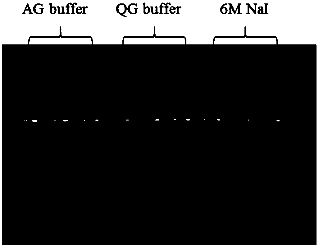 Sol buffer for gel DNA recovery, kit for gel DNA recovery and application method of kit