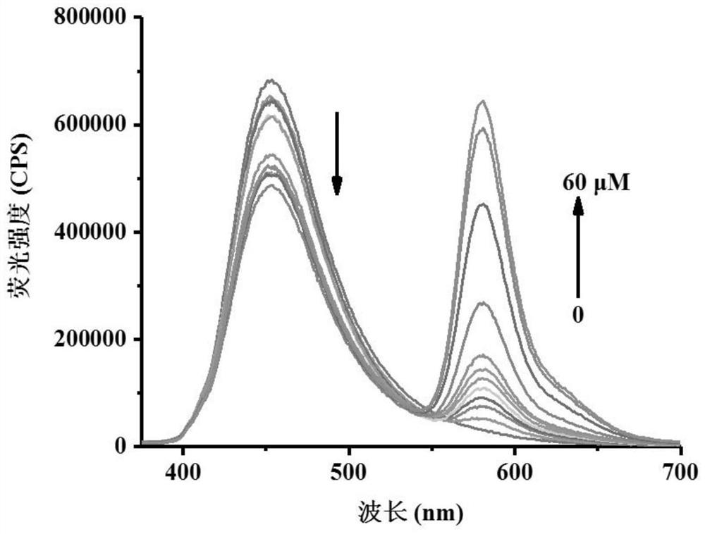 A kind of preparation method of fluorescent probe