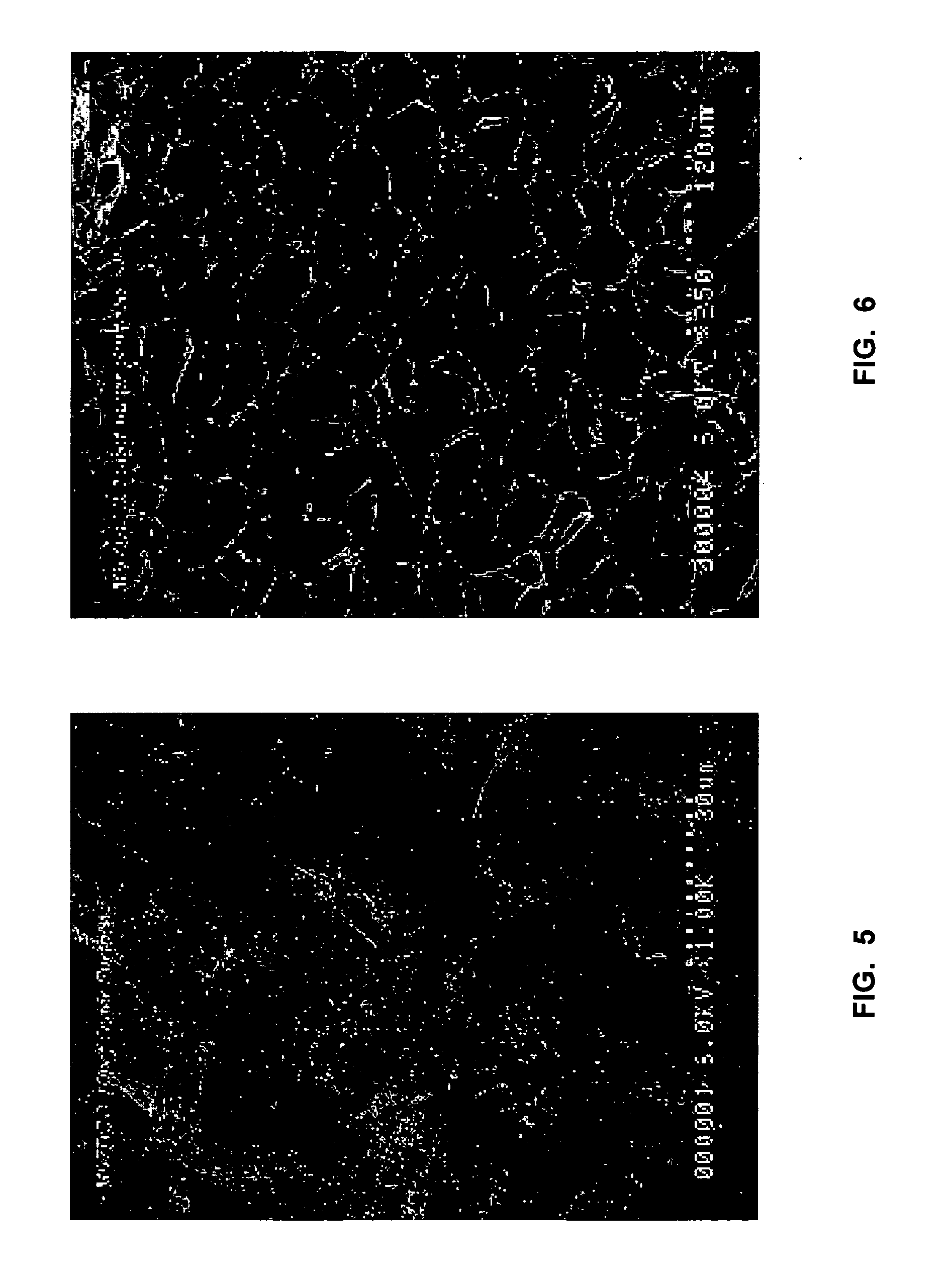 Lightweight concrete compositions containing antimicrobial agents