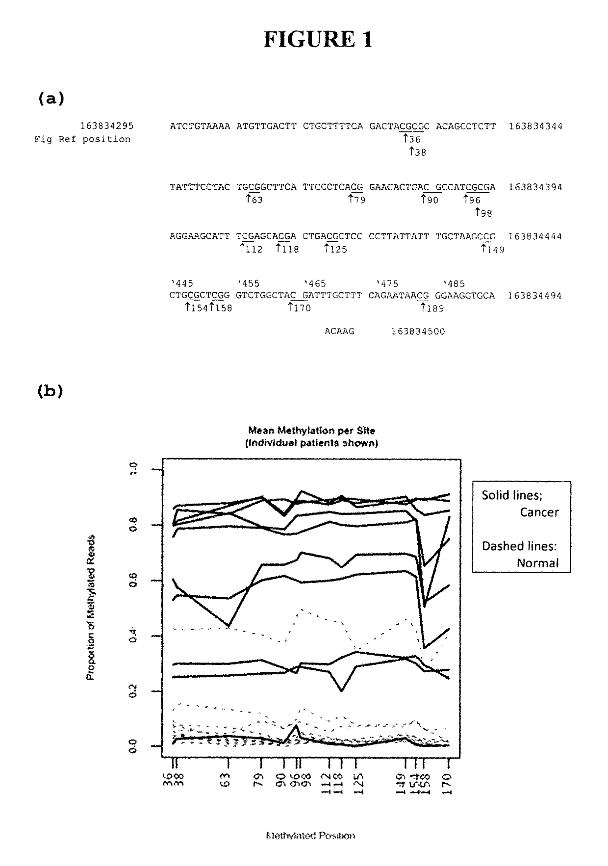 DNA methylation in colorectal and breast cancer diagnostic methods