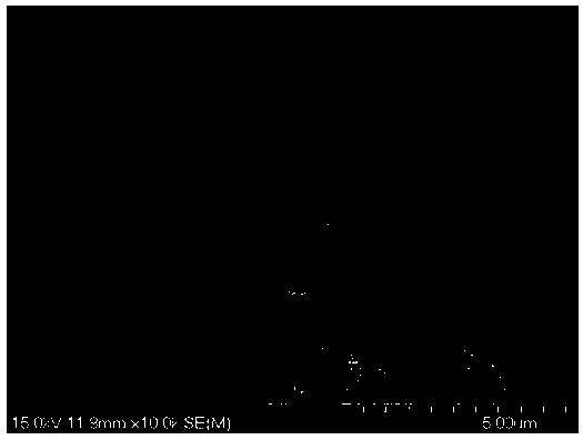 Graded porous polyvinylidene fluoride hollow-fiber composite film and production method thereof