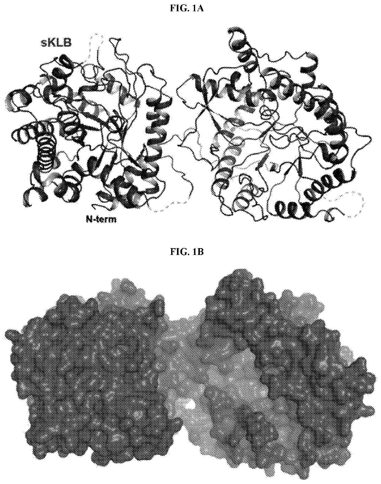 Mutant FGF21 polypeptide compositions