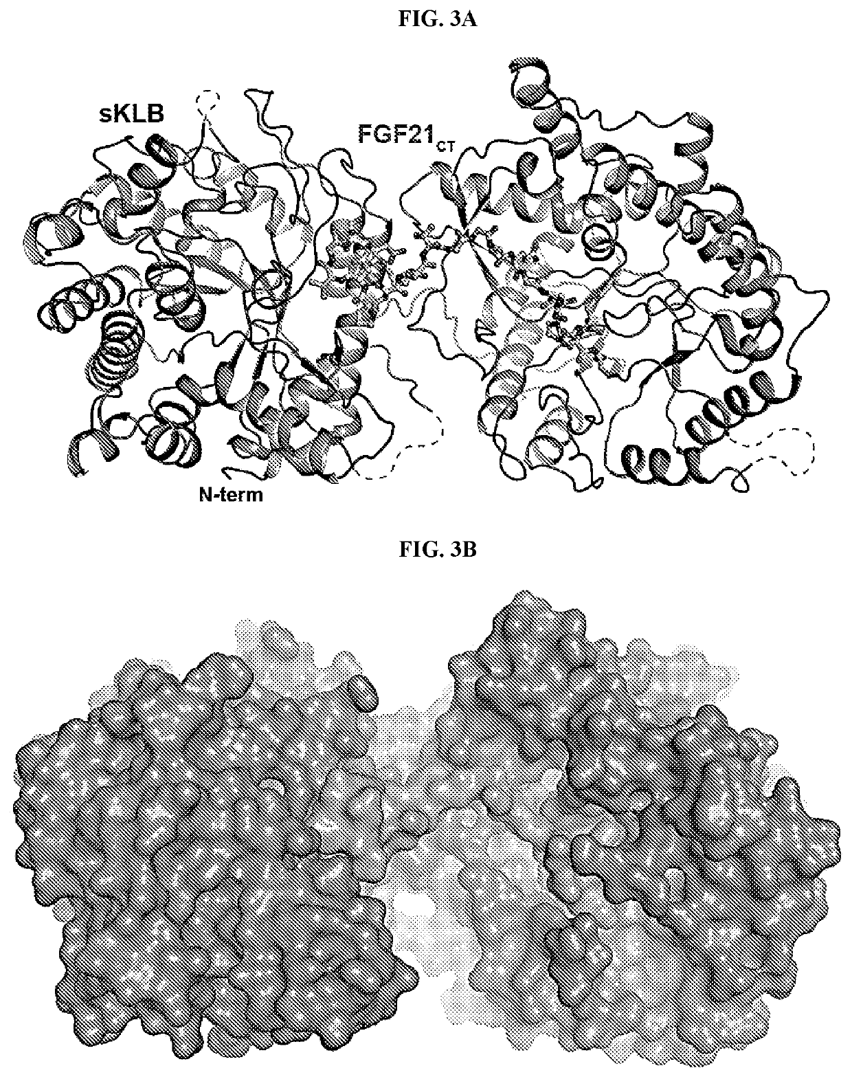 Mutant FGF21 polypeptide compositions