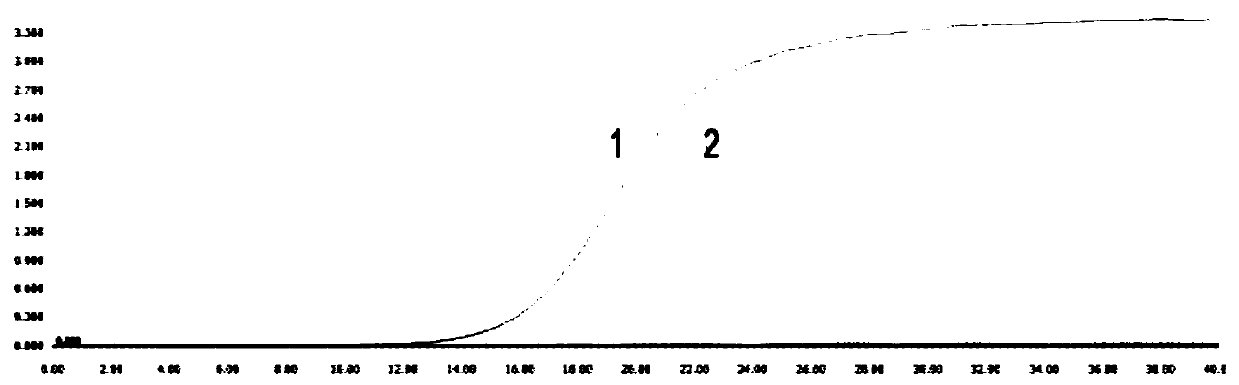 Specific primers, kit and method for detecting porcine epidemic diarrhea virus wild strains