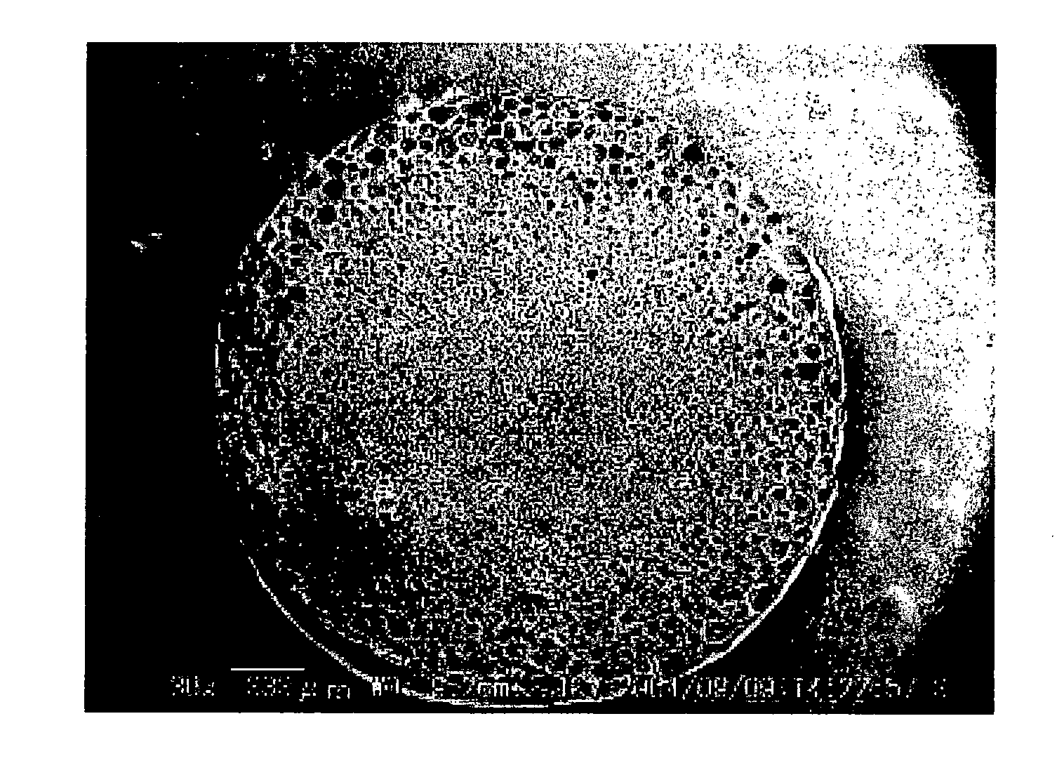 Expandable polylactic acid resin particles, expanded polylactic acid resin beads and molded article obtained from expanded polylactic acid resin beads