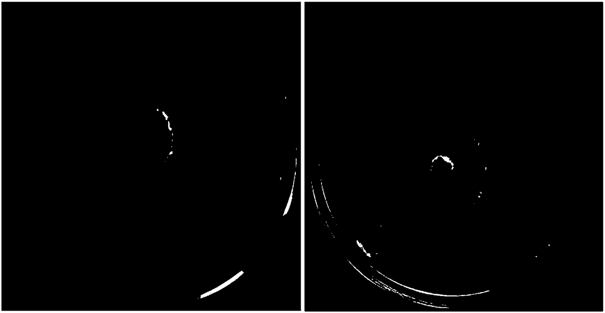 Sugarcane endogenous burkholderia sp. CZ08152 and application thereof