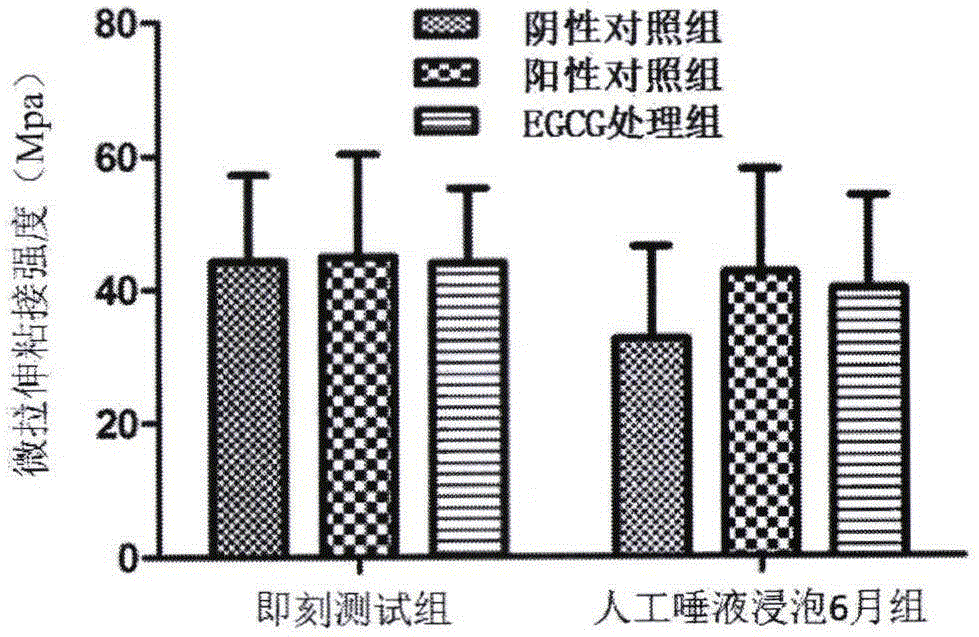 Application of epigallocatechingallate (EGCG) in improving dental resin adhesive material restoration performance