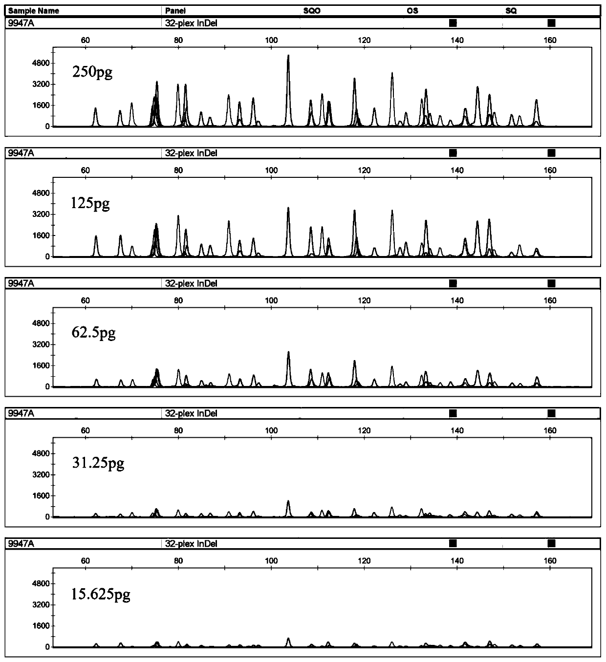 A fluorescent-labeled 32-plex InDels compound amplification system and its application