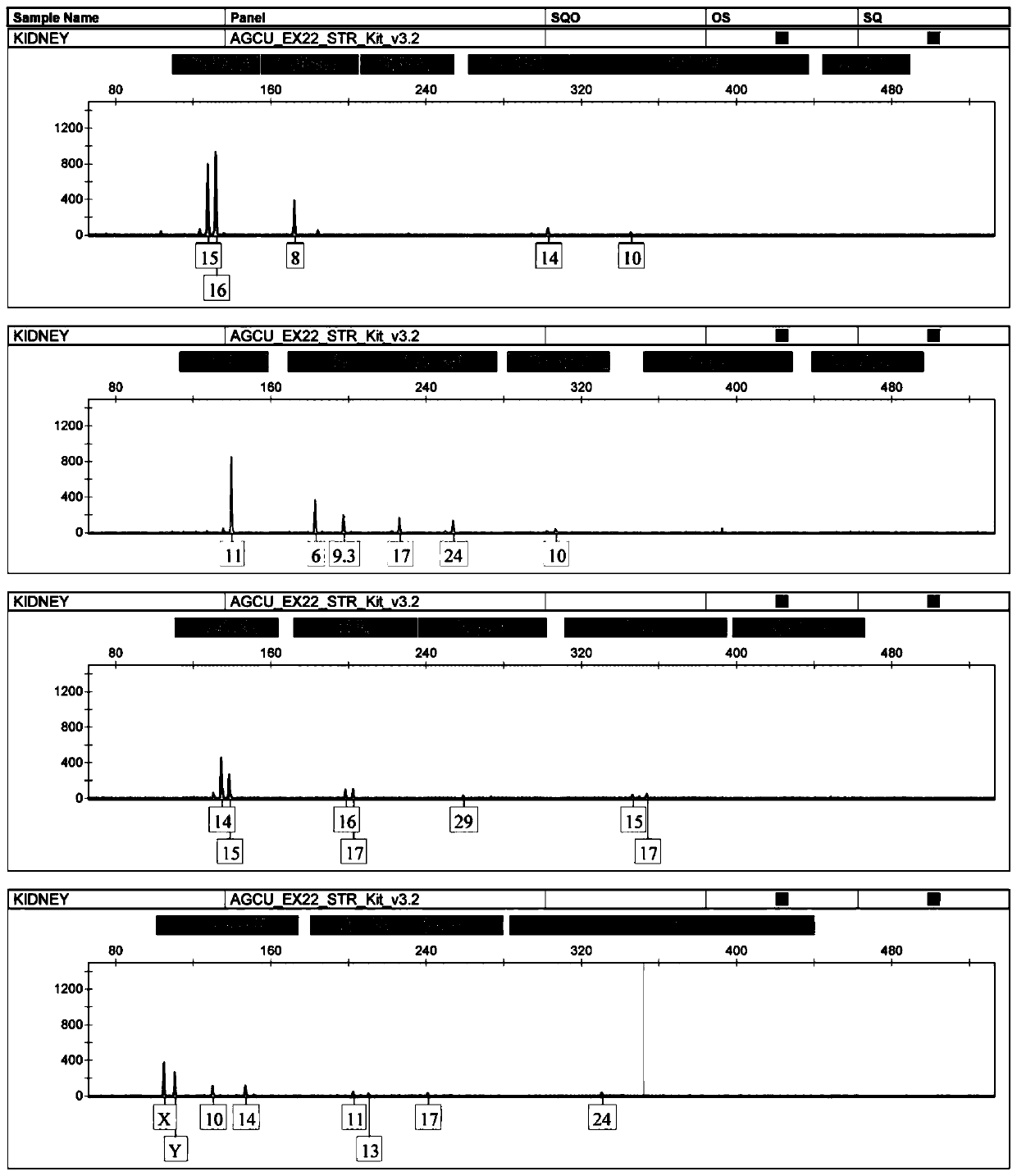 A fluorescent-labeled 32-plex InDels compound amplification system and its application