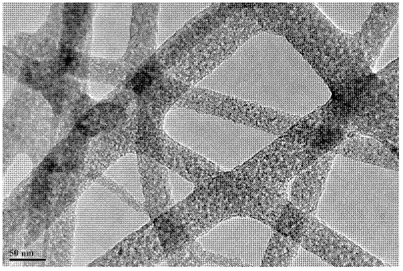 Method for preparing titanium-tungsten compound oxide nano-fiber