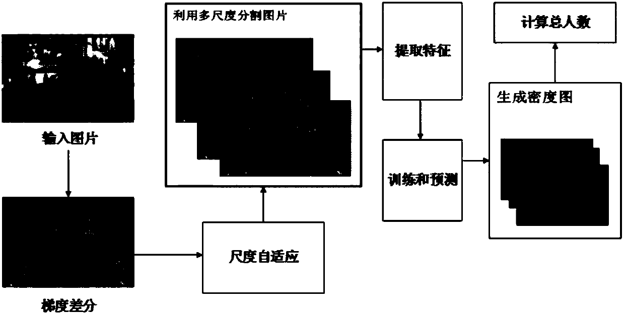 Population counting method based on scale-adapted head detection and density map