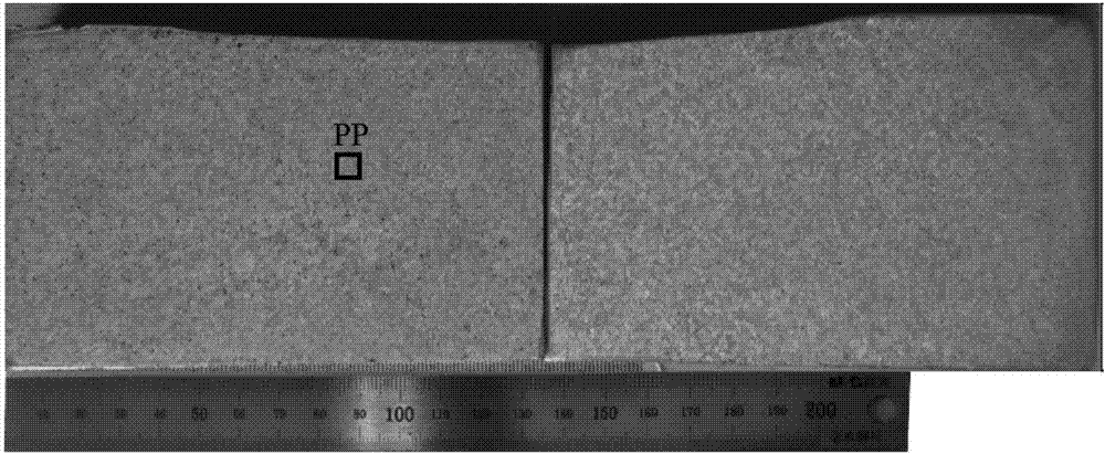 Inoculated alloy grain structure numerical value prediction method