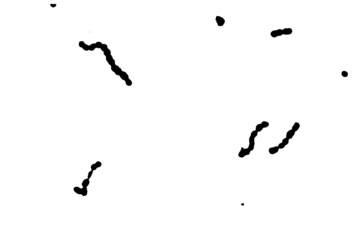 A new streptococcus hts20 and its application