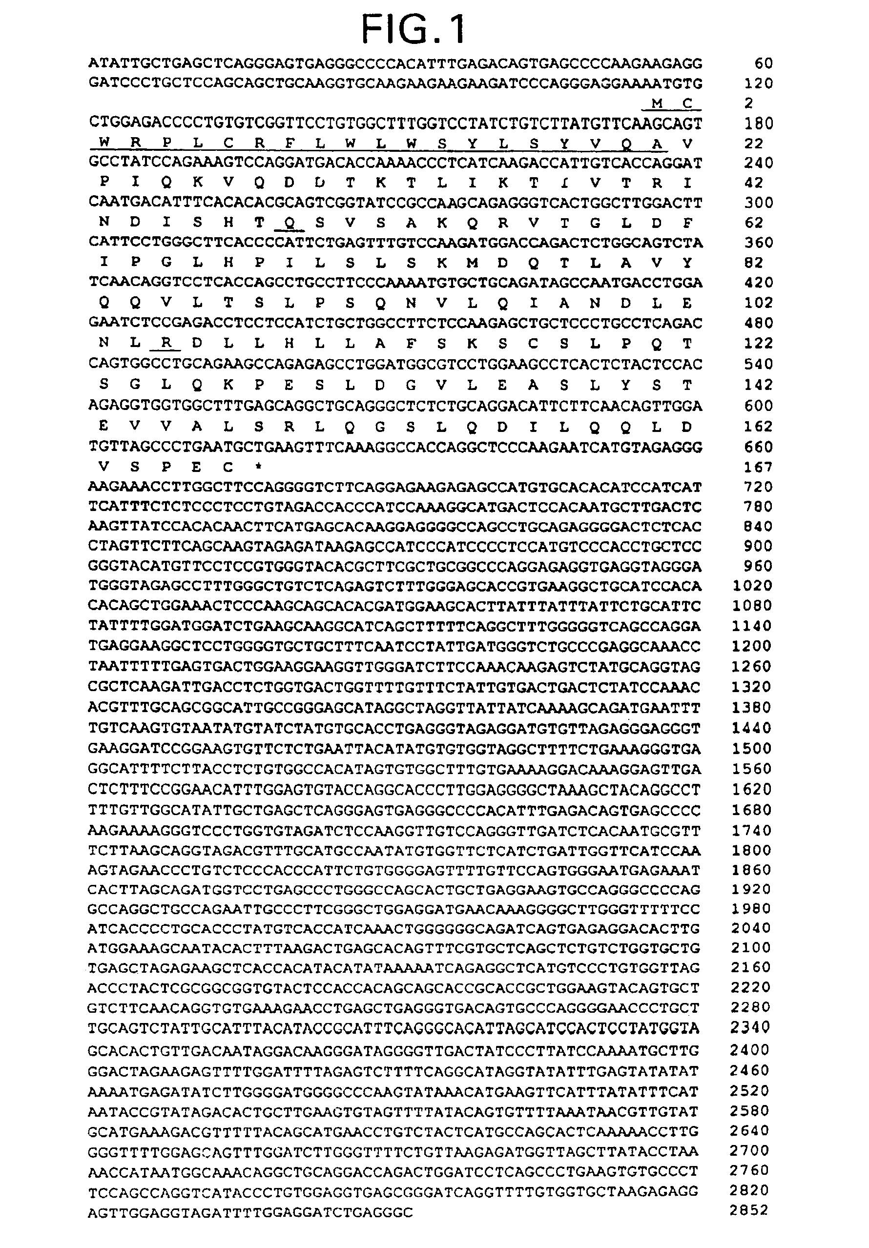 OB polypeptides, modified forms and derivatives