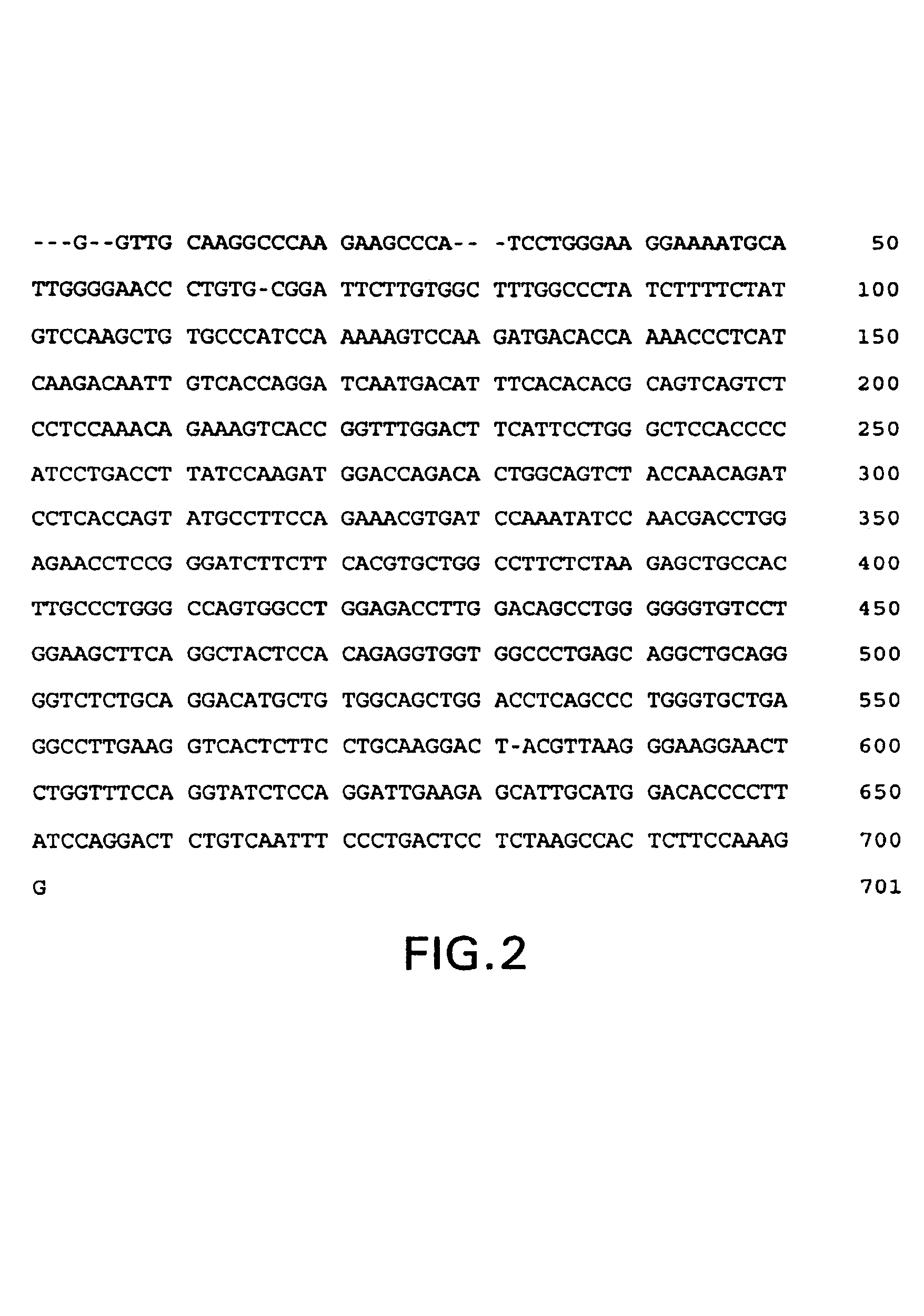 OB polypeptides, modified forms and derivatives