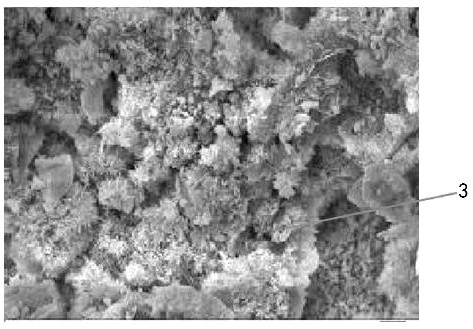 Coal-based solid waste soil stabilizer and preparation method thereof