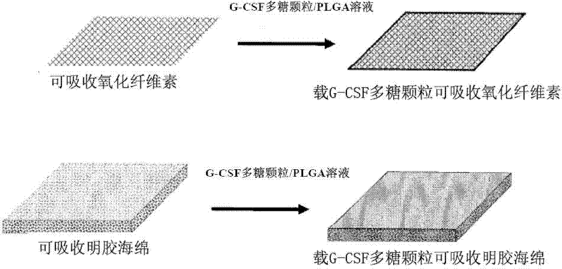 Preparation with double functions of stopping bleeding and sustainedly releasing granulocyte colony stimulating factor and preparation method thereof