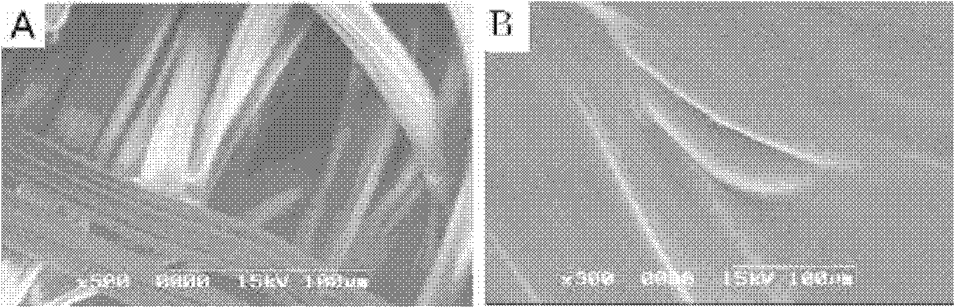 Preparation with double functions of stopping bleeding and sustainedly releasing granulocyte colony stimulating factor and preparation method thereof