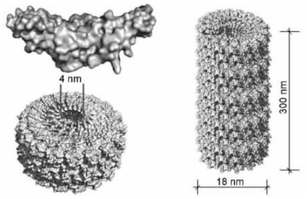 A controllable array preparation method of microsensors using tobacco mosaic virus as a template