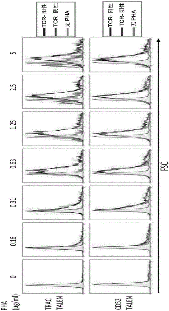 Method for generating T-cells compatible for allogenic transplantation