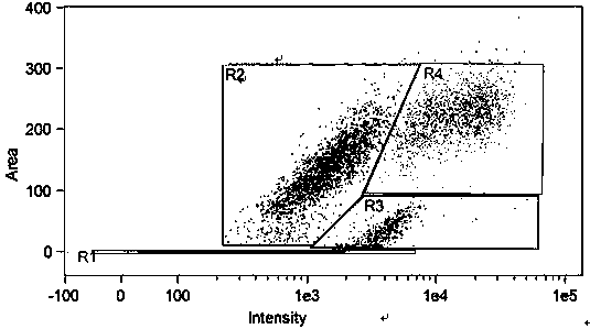 A method and application for rapid analysis of crustacean blood lymphocyte groups and quantity