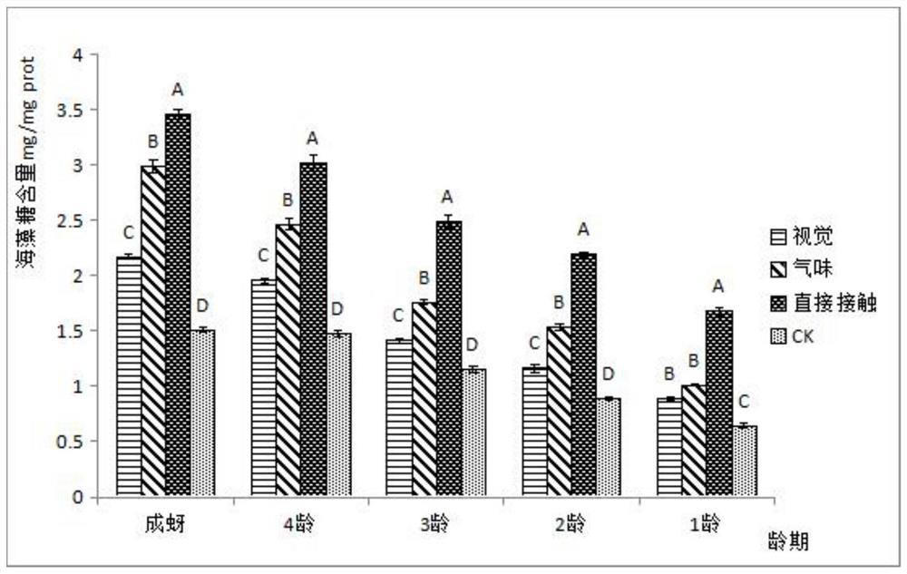 Method for verifying influence of Orius sauteri Poppius on activity of endogenous substances in soybean aphid bodies under stress