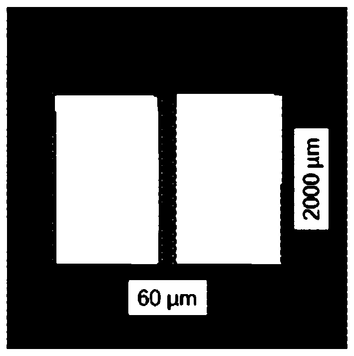 Semiconductor film field effect transistor made of unstable two-dimensional material and preparation method thereof