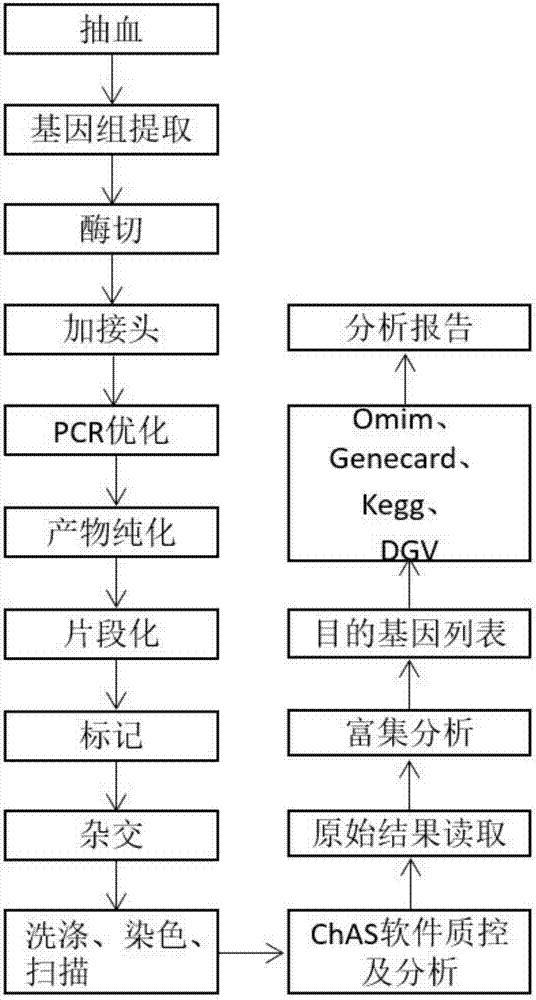 Human HLA region gene copy number variation detection method