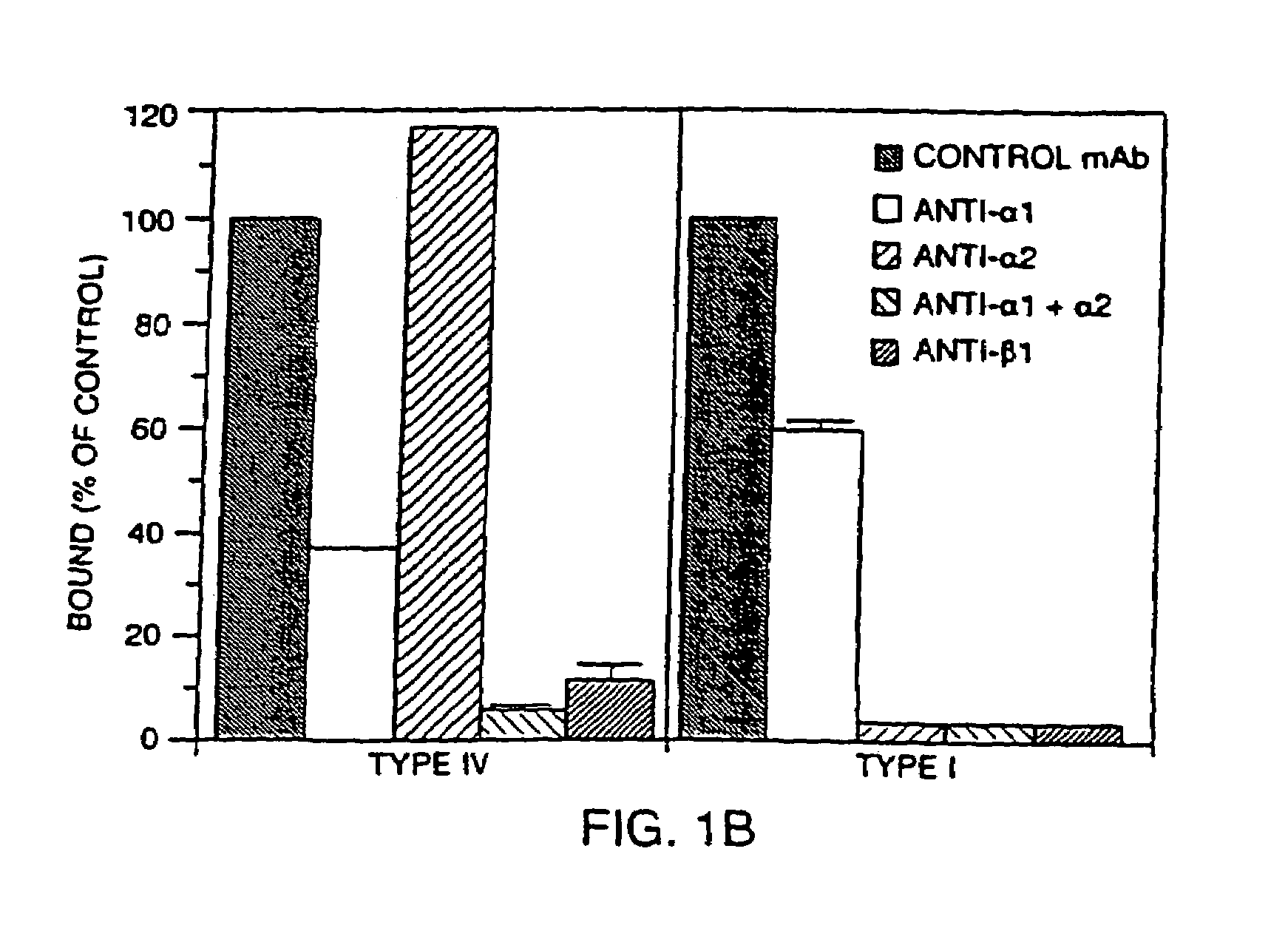 Antibodies to VLA-1