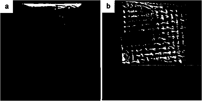 Crosslinking modification method for maintaining original morphology of linear polystyrene material