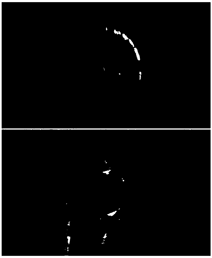 One sheath double-core microfluidic control nozzle, spinning device and spinning method