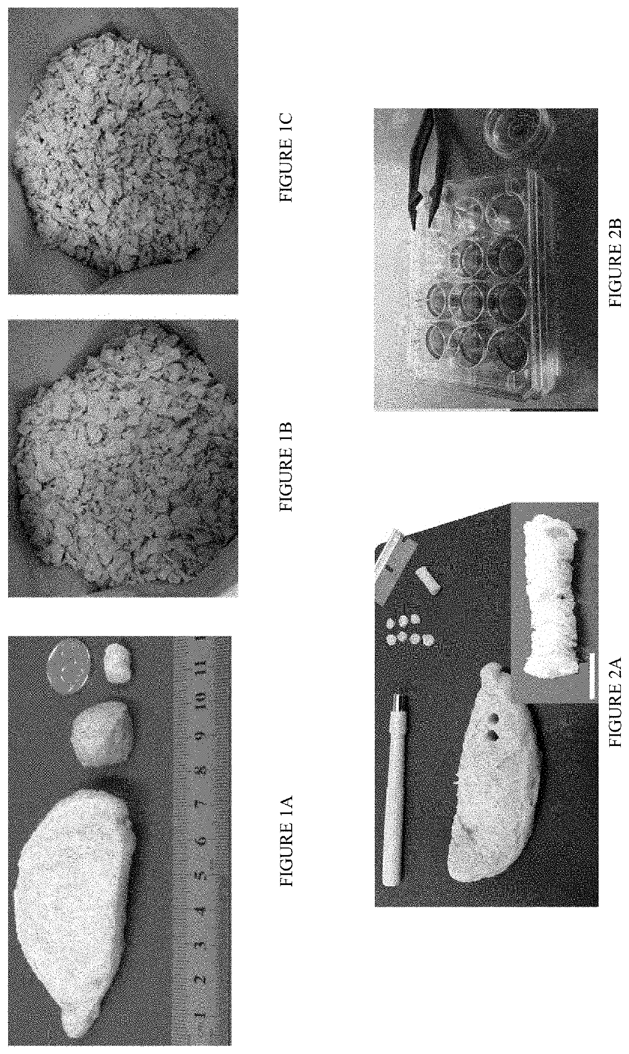 Cultured meat compositions