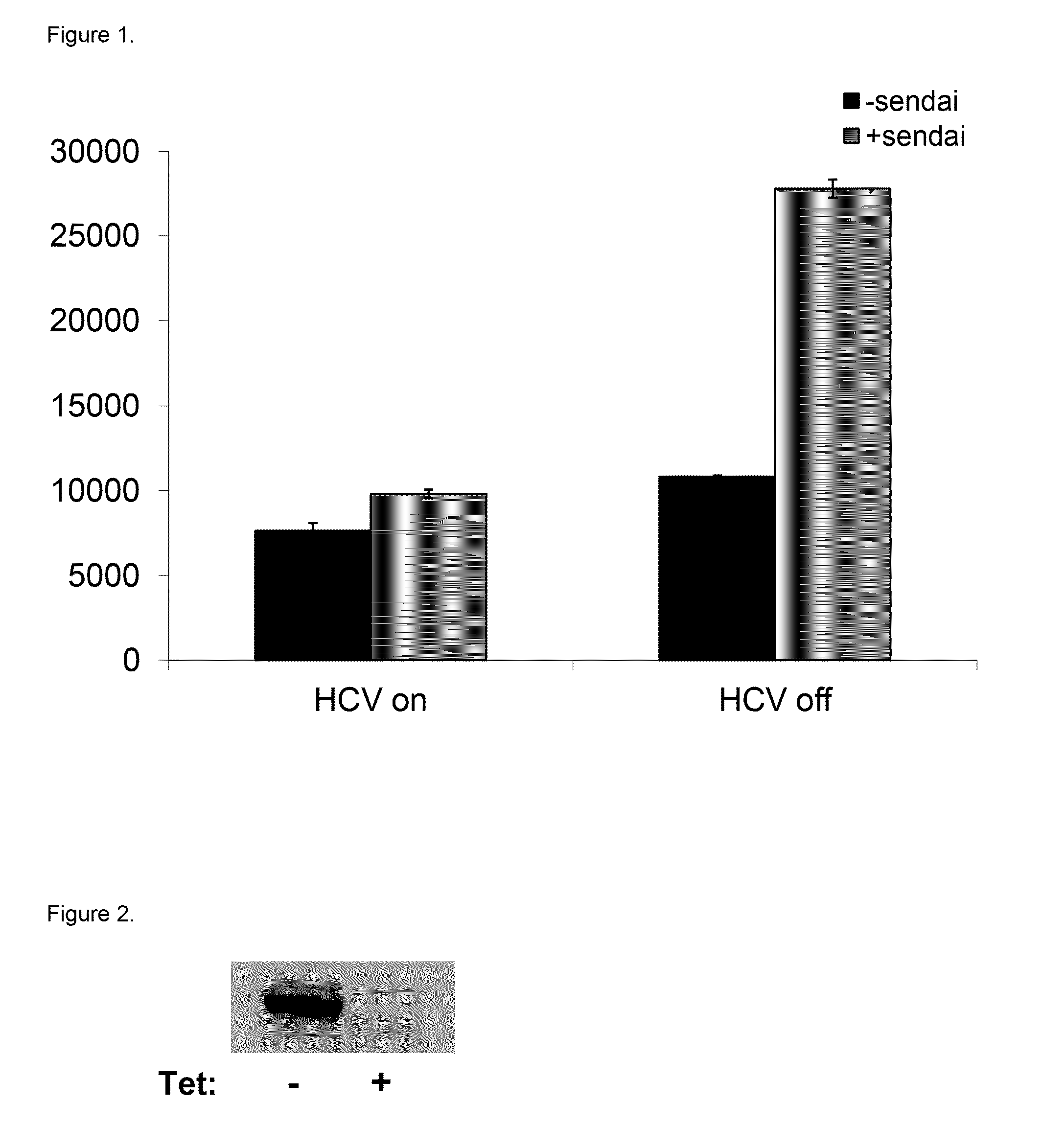 Methods and cells for identifying RIG-I pathway regulators