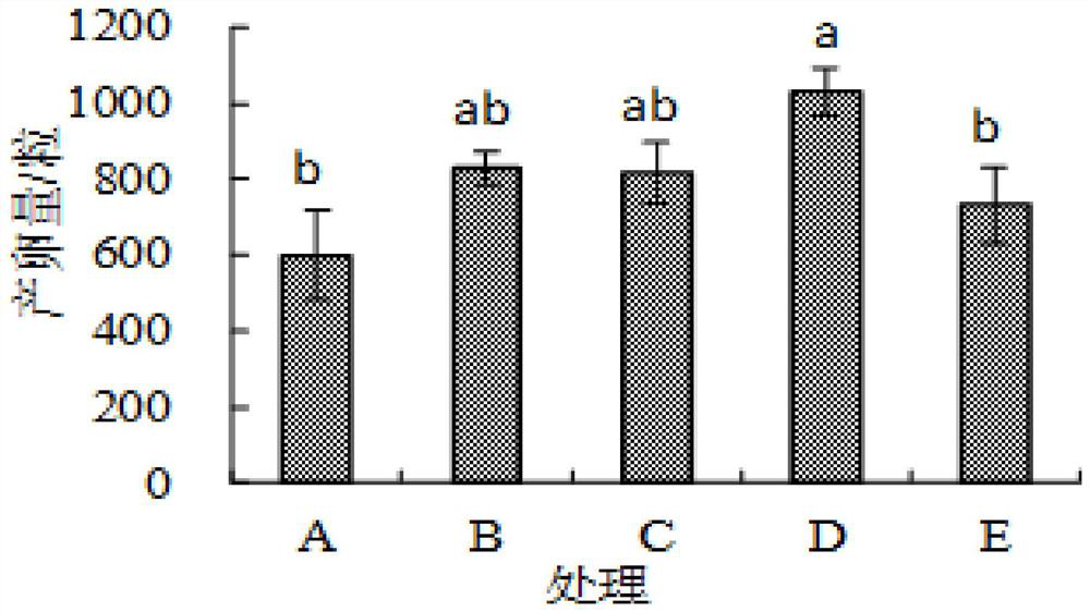 Juncao Ganoderma lucidum and chaff mixed feed for feeding Tenebrio molitor adults and preparation method thereof