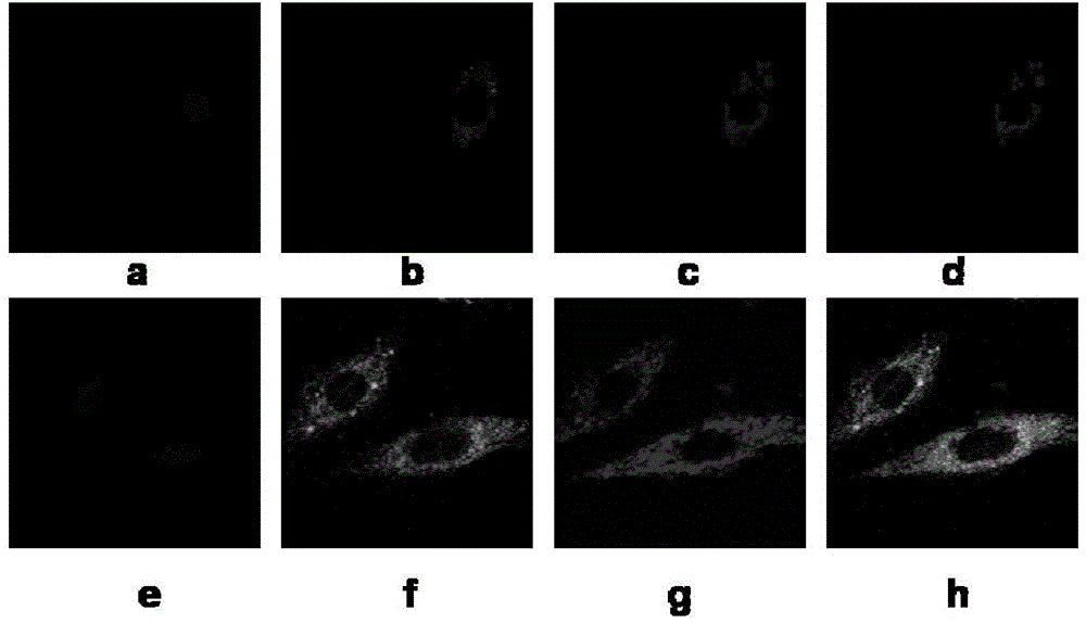 Mitochondrial targeting superoxide anion imaging probe and preparation method thereof