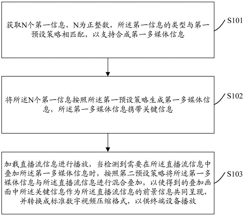 Multimedia information processing method and server