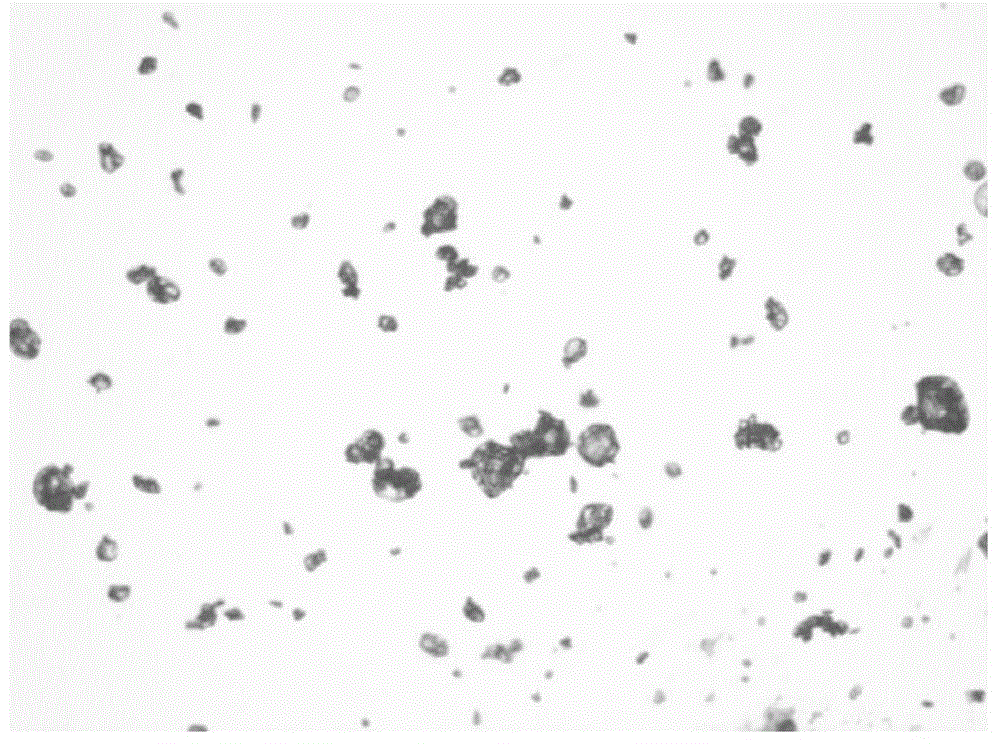 Verapamil hydrochloride sustained release microsphere and preparation method thereof