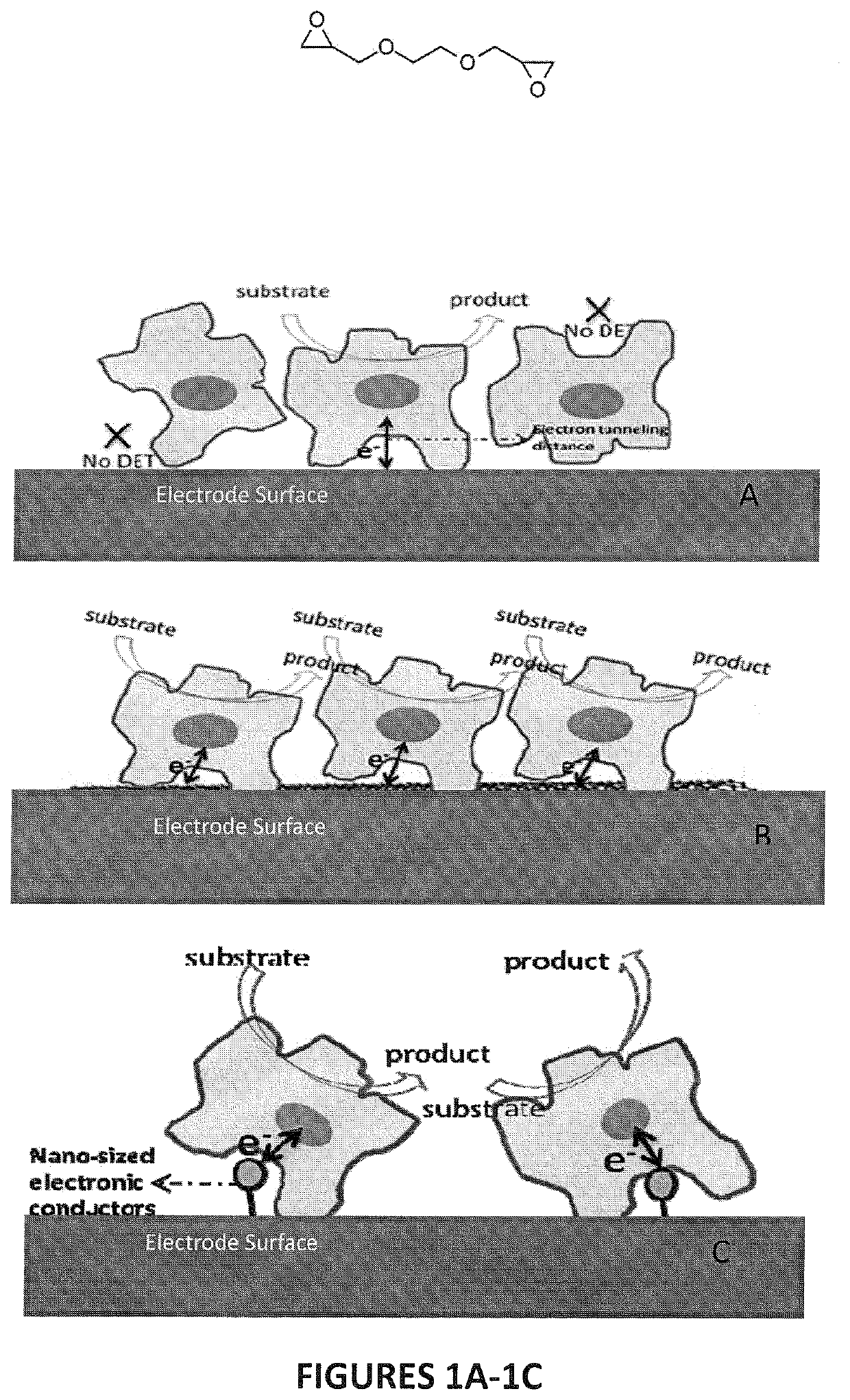 Glucose biosensors comprising direct electron transfer enzymes and methods of making and using them