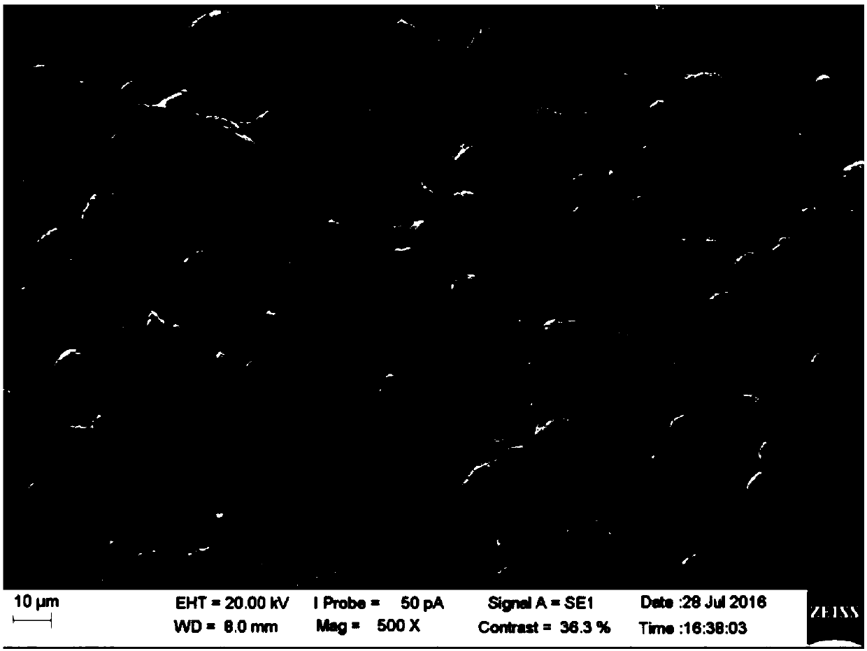 Carbon composite negative electrode material and preparation method thereof