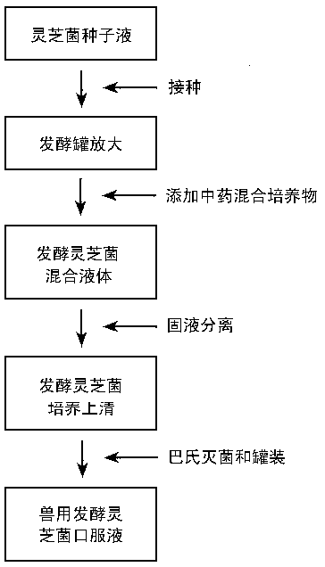 Preparation method of veterinary fermented ganoderma lucidum oral liquid