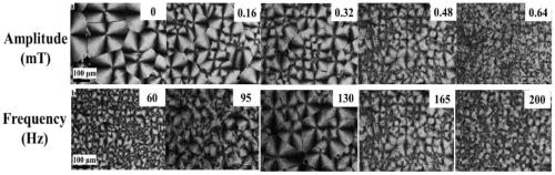 Method for controlling crystallization of polylactic acid through alternating electromagnetic field