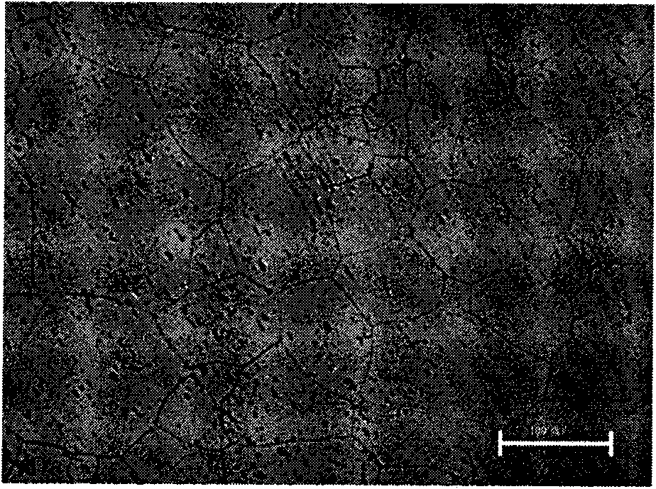 Aluminum alloy lead with lanthanon yttric and preparation method thereof